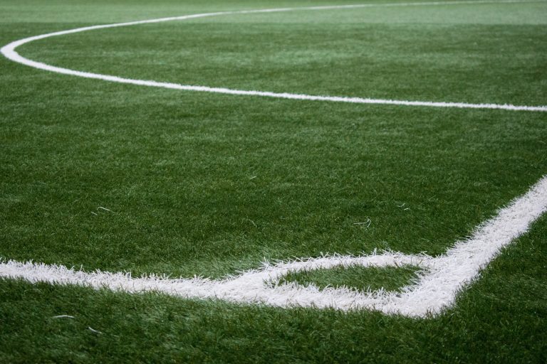 Ligue 1 (semaine 22)